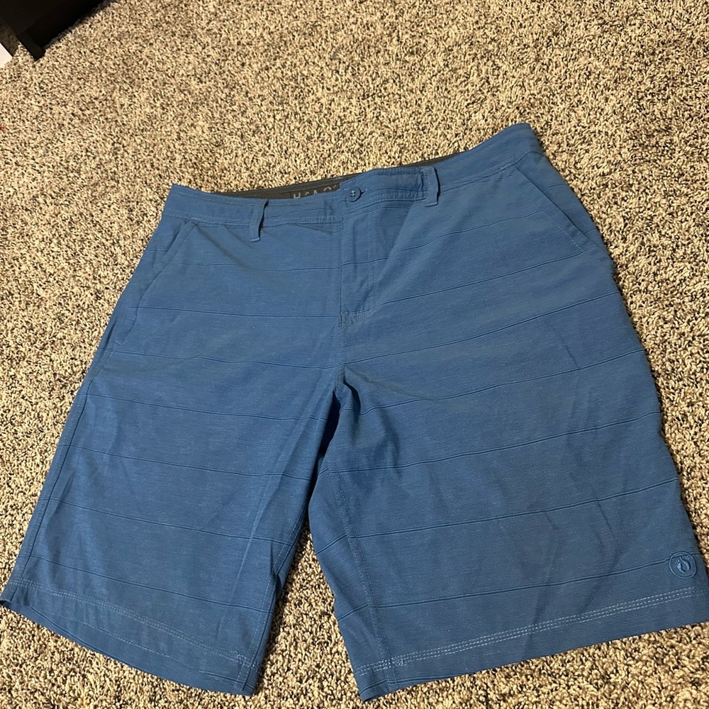 Men's Blue Board Short hang ten